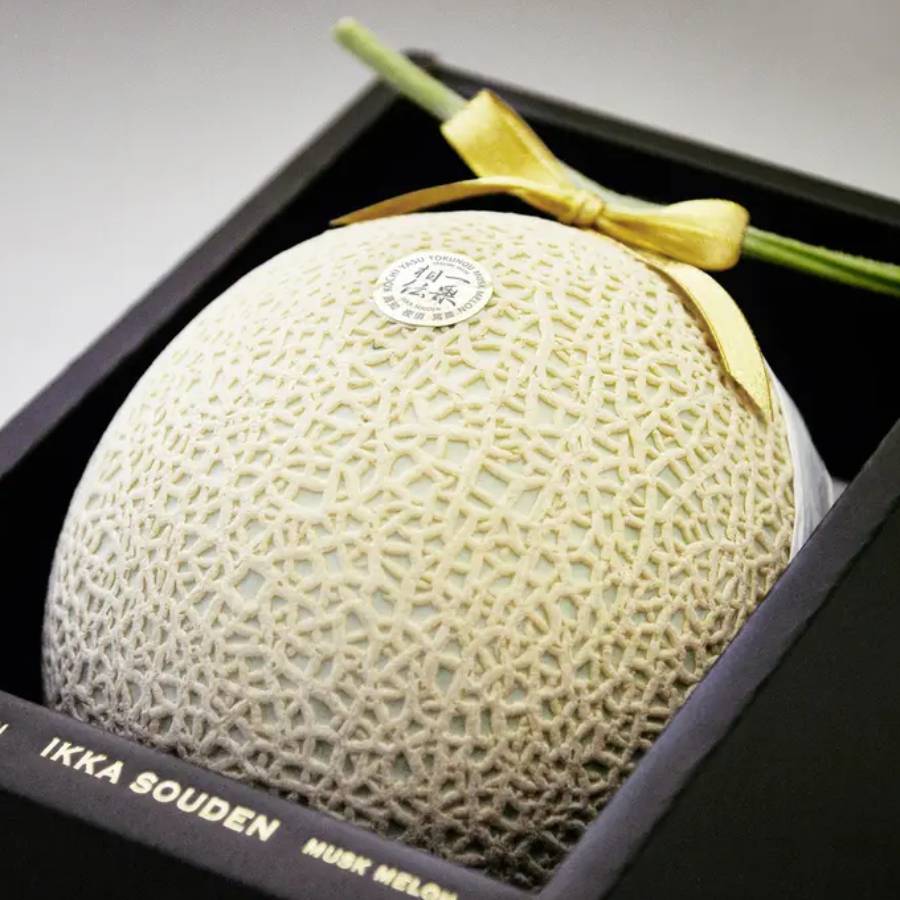 <一果相伝>上級品 マスクメロン1玉(1.4kg以上)