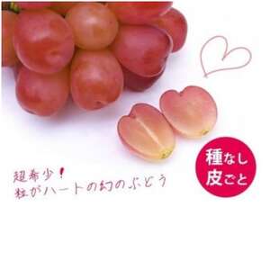 【2025年9月上旬より発送予定】マイハート1房 500g以上 ハート形のかわいい葡萄【配送不可地域：離島】【1613666】