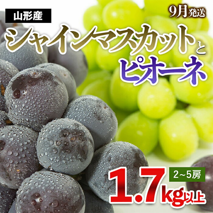 【ふるさと納税】やまがたのぶどう シャインマスカット＆ピオーネ 秀品 約1.7kg(2〜5房程度) [9月発送] 【令和7年産先行予約】FS23-752 くだもの 果物 フルーツ 山形 山形県 山形市 2025年産