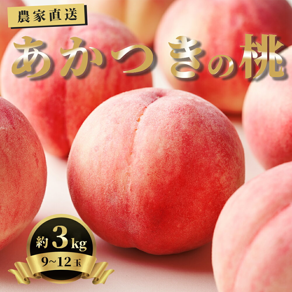 【ふるさと納税】 白桃 あかつき 3kg 9～12個 秀品 山形県 朝日町産 農家直送 山形産 もも モモ 桃 ピーチ 果物 先行予約 フルーツ 夏 送料無料