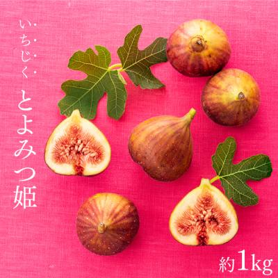 ふるさと納税 新宮町 九州・福岡フルーツ王国より直送.いちじく(とよみつ姫)約1kg/2026年8月〜9月配送.AA267