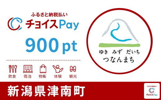 
            津南町チョイスPay 900pt【会員限定のお礼の品】
          