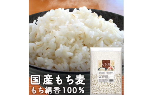 栃木県産もち絹香 800g×5袋【1559028】