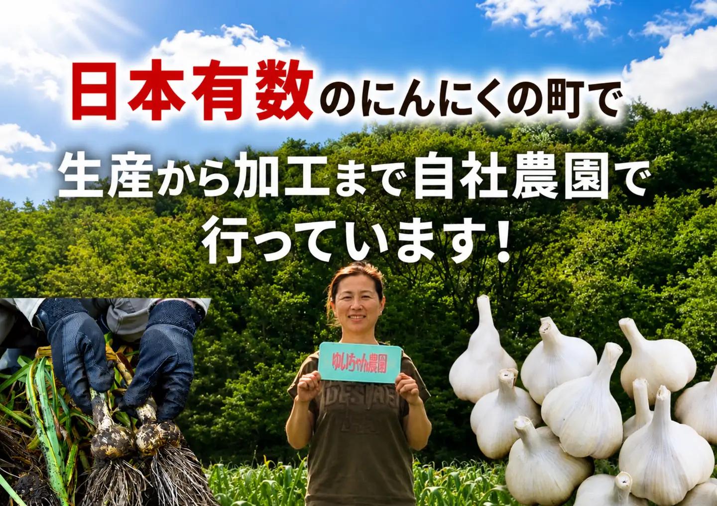 ゆいちゃん農園【ニンニクみそ・焼き肉のタレ3点セット】　