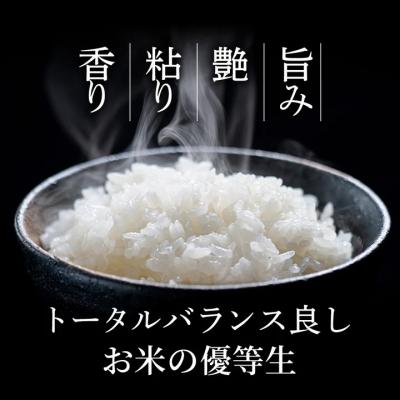 ふるさと納税 八頭町 因幡の白兎米 ひとめぼれ 令和7年産 精米済 20kg(5kg×4袋) |  | 01