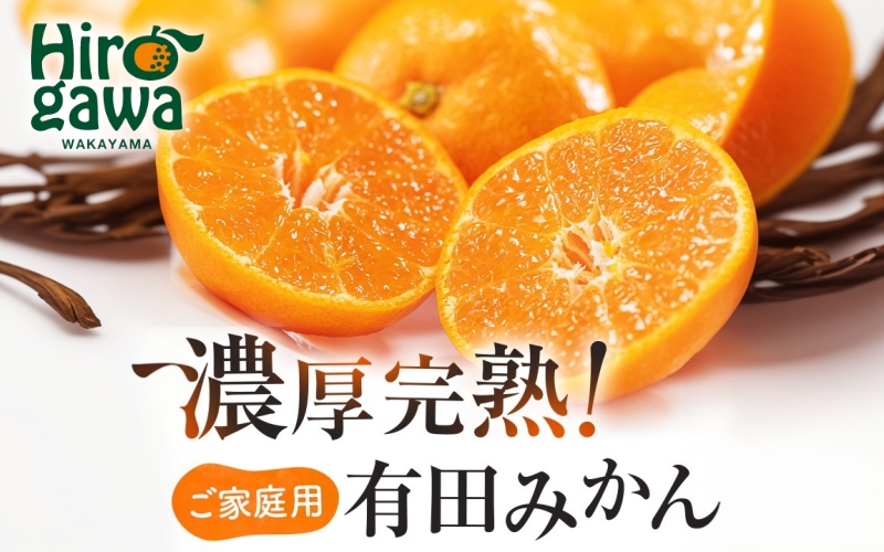 有田育ちの ご家庭用 完熟 有田みかん 3.1kg(2.9kg+200g) 農家直送 わけあり 訳あり ※11月上旬から下旬頃に順次発送予定 / 温州みかん みかん フルーツ 果物  柑橘 くだもの 人気 和歌山 【配送不可地域：北海道・離島・沖縄県】【ard004-c-3d1-11】