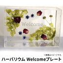 【ふるさと納税】ハーバリウム Welcomeプレート　インテリア ハンドメイド 雑貨　 小物 手作業 世界に一つ ハンドメイド作品 かわいい 贈り物 置物