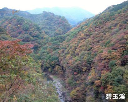 宮城県白石市ANAトラベラーズダイナミックパッケージ割引クーポン15,000点分