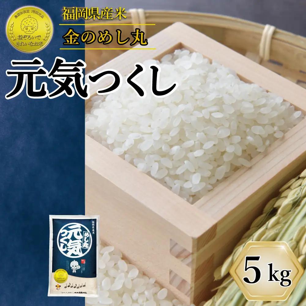 令和7年産 米 元気つくし 5kg | 白米 福岡県
