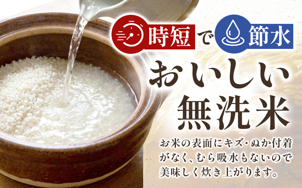 【令和7年産】宮城県産ひとめぼれ【無洗米】　2kg×2袋
