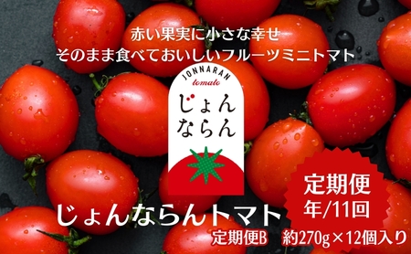 トマト定期便 じょんならん モリヒロ園芸 ミニトマト トマト定期便【約270g×12個】【年間11回】