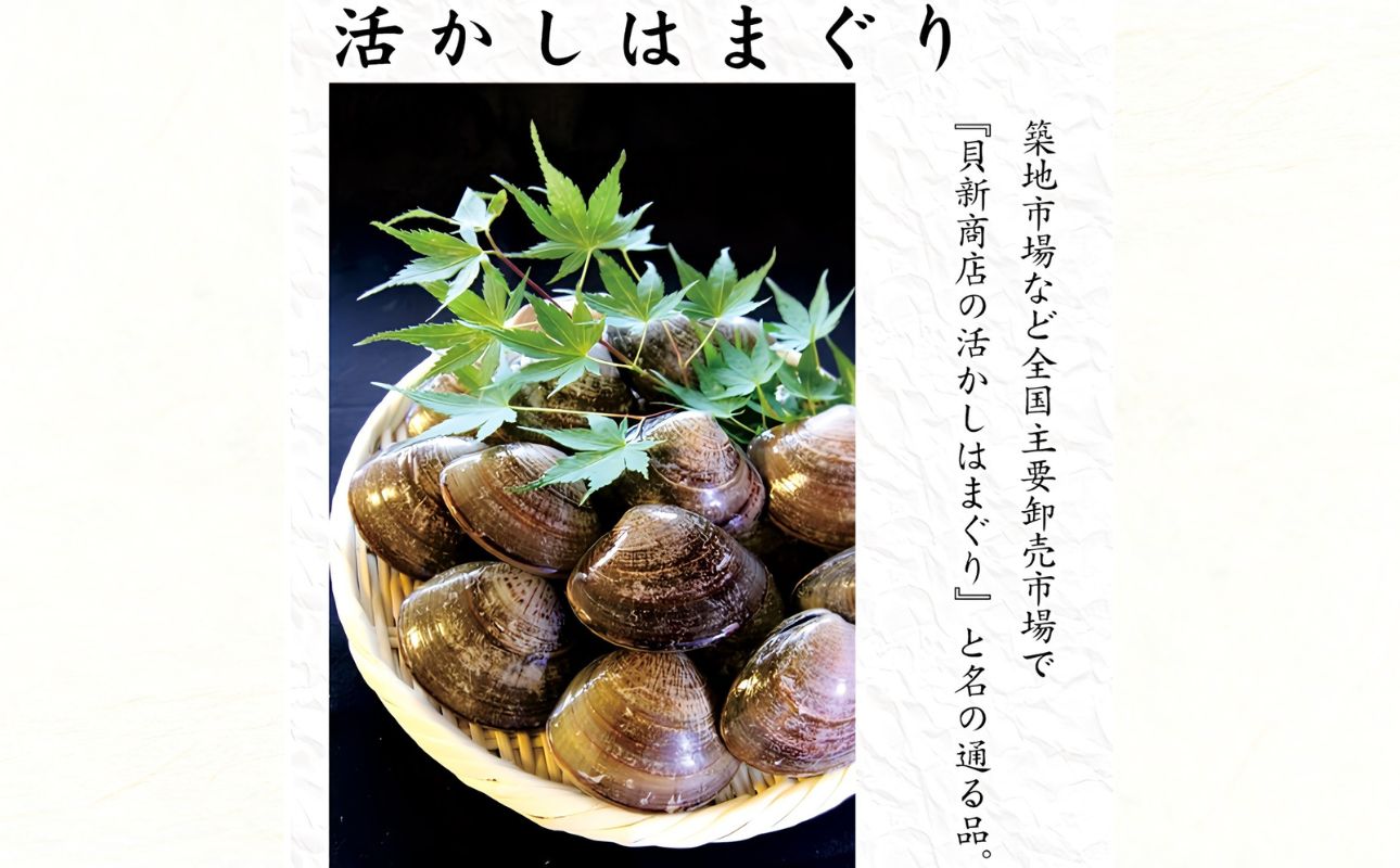 貝新畜養 活かしはまぐり （極上サイズ）2kg 木箱入りはまぐり ハマグリ 蛤
