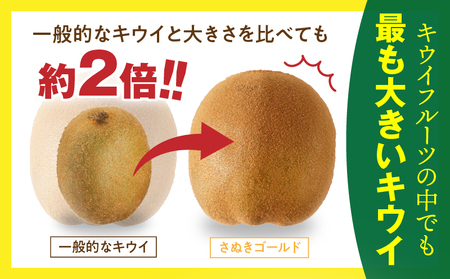 香川県オリジナルキウイフルーツ「さぬきゴールド」約　2.5㎏【香川県共通返礼品】_mk059-001