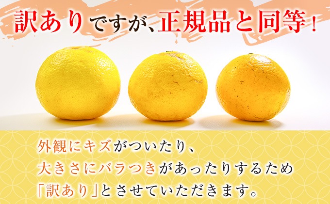 先行予約 訳あり 宮浦産 日向夏 計10kg以上 期間限定 数量限定 フルーツ 果物 くだもの 柑橘 みかん 令和8年発送 国産 産地直送 新鮮 食品 ジュース デザート フルーツサンド おやつ ご褒