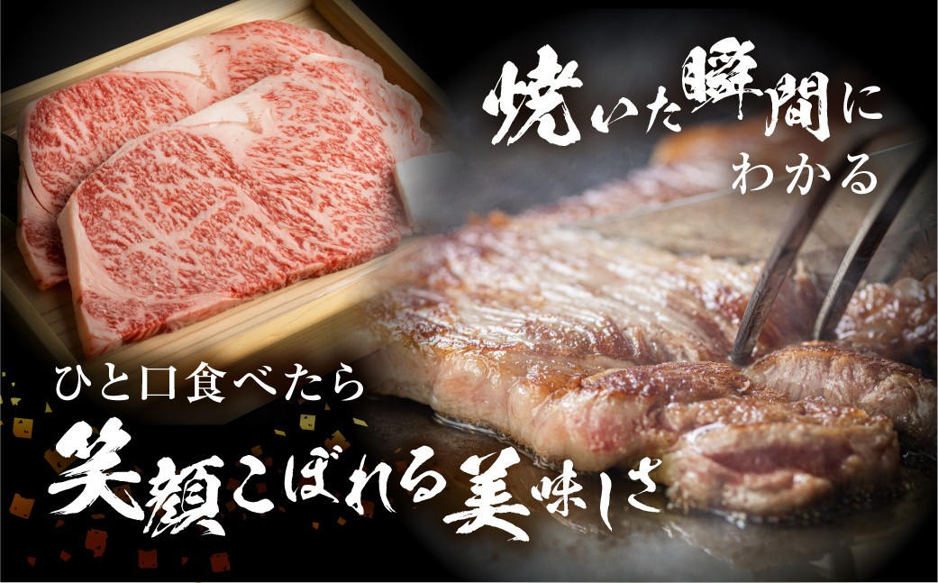 飛騨牛 牛肉 サーロインステーキ 200g×4枚 計800g 大判 ステーキ A4等級以上 お中元 お祝い ギフトに JA飛騨 45000円 [S462] 