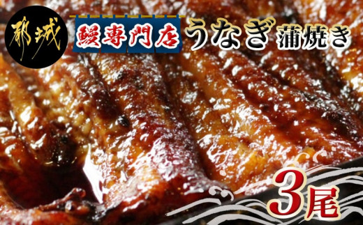 
鰻専門店・職人手焼きの本格うなぎ蒲焼き3尾_AC-3301_(都城市) 鰻蒲焼 3尾 (総重量450g以上) タレ付き (30ml×3個) 国産うなぎの蒲焼き 特製たれ付き 冷凍 ウナギ かば焼き
