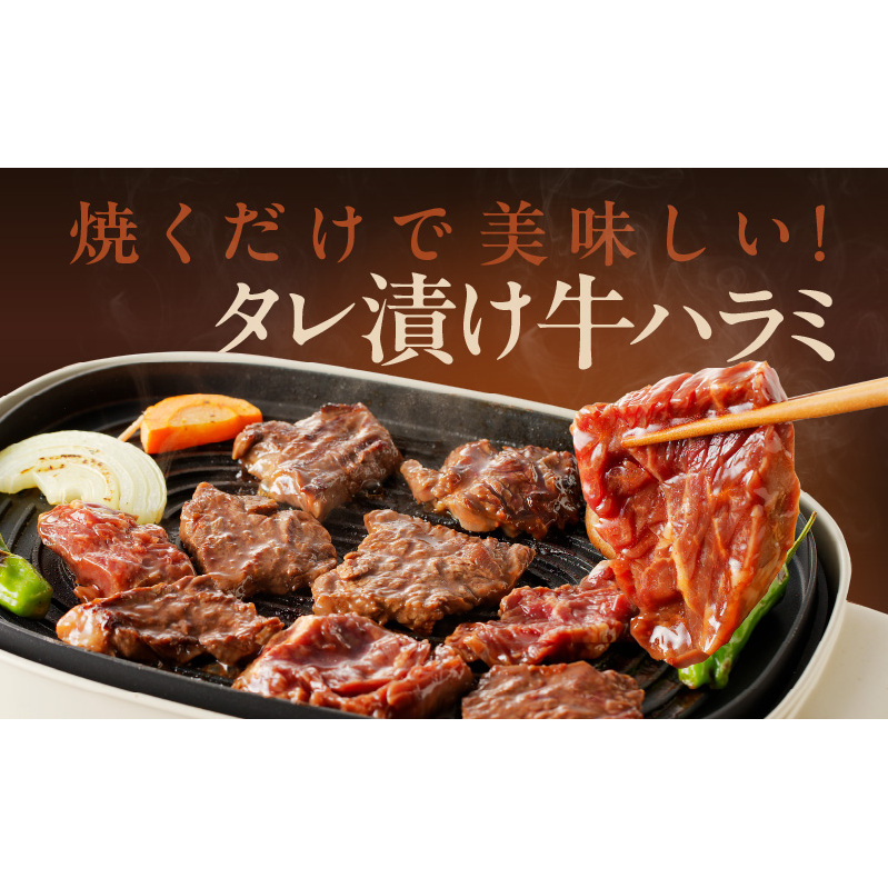 冷蔵配送 牛ハラミ タレ漬焼肉 1.5kg（300g×5） 015B299_イメージ3
