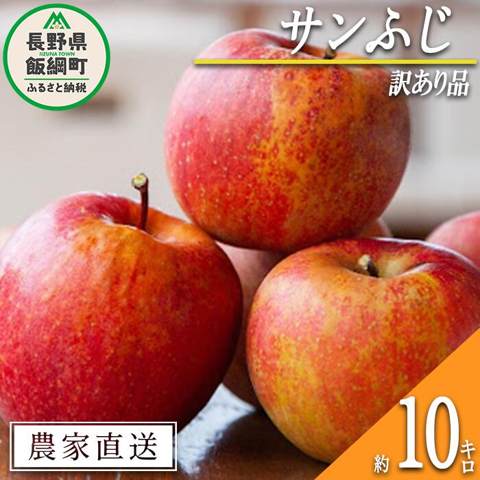 【ふるさと納税】 りんご サンふじ 訳あり 10kg 渡辺農園 沖縄県への配送不可 令和7年度収穫分 エコファーマー認定 減農薬栽培 長野県 飯綱町 【 傷 不揃い リンゴ 林檎 果物 フルーツ 信州 長野 】発送時期：2025年12月上旬〜2026年1月中旬 {*}