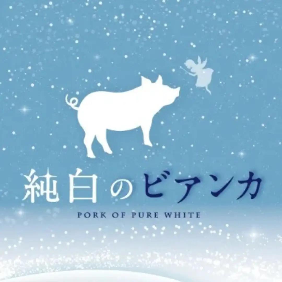 純白のビアンカ 豚バラ焼肉用 800g 豚肉 ぶた ぶた肉 肉 お肉 国産 冷凍 箱入り のし 贈答 ギフト プレゼント お中元 お歳暮 父の日 母の日 敬老の日 焼肉 BBQ 新鮮 新潟県 阿賀野市