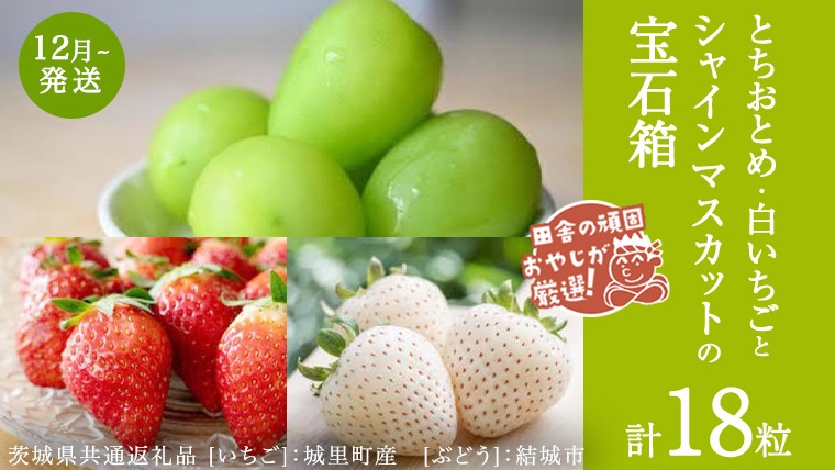 「粒々いちご18粒」とちおとめと白いちごとシャインマスカット【12月より発送開始】（茨城県共通返礼品 [いちご]：城里町産　[ぶどう]：結城市）  詰め合わせ 果物 フルーツ 茨城県産 [BI449-NT]