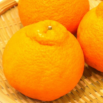 【ふるさと納税】ハウス不知火(中晩柑)約2kg(7～9玉)【配送不可地域：離島】【1680221】