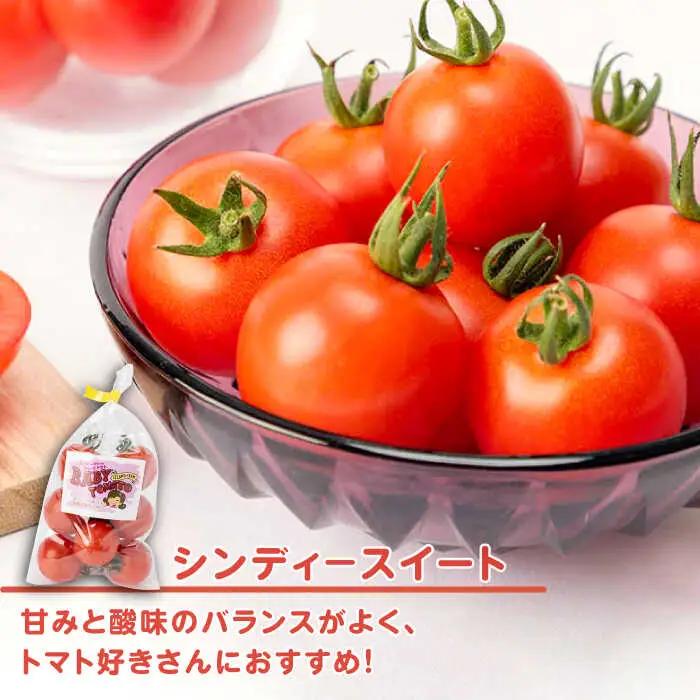 ミディアムトマト 8袋《壱岐市》【ISLAND FARM】[JFL001] とまと 野菜