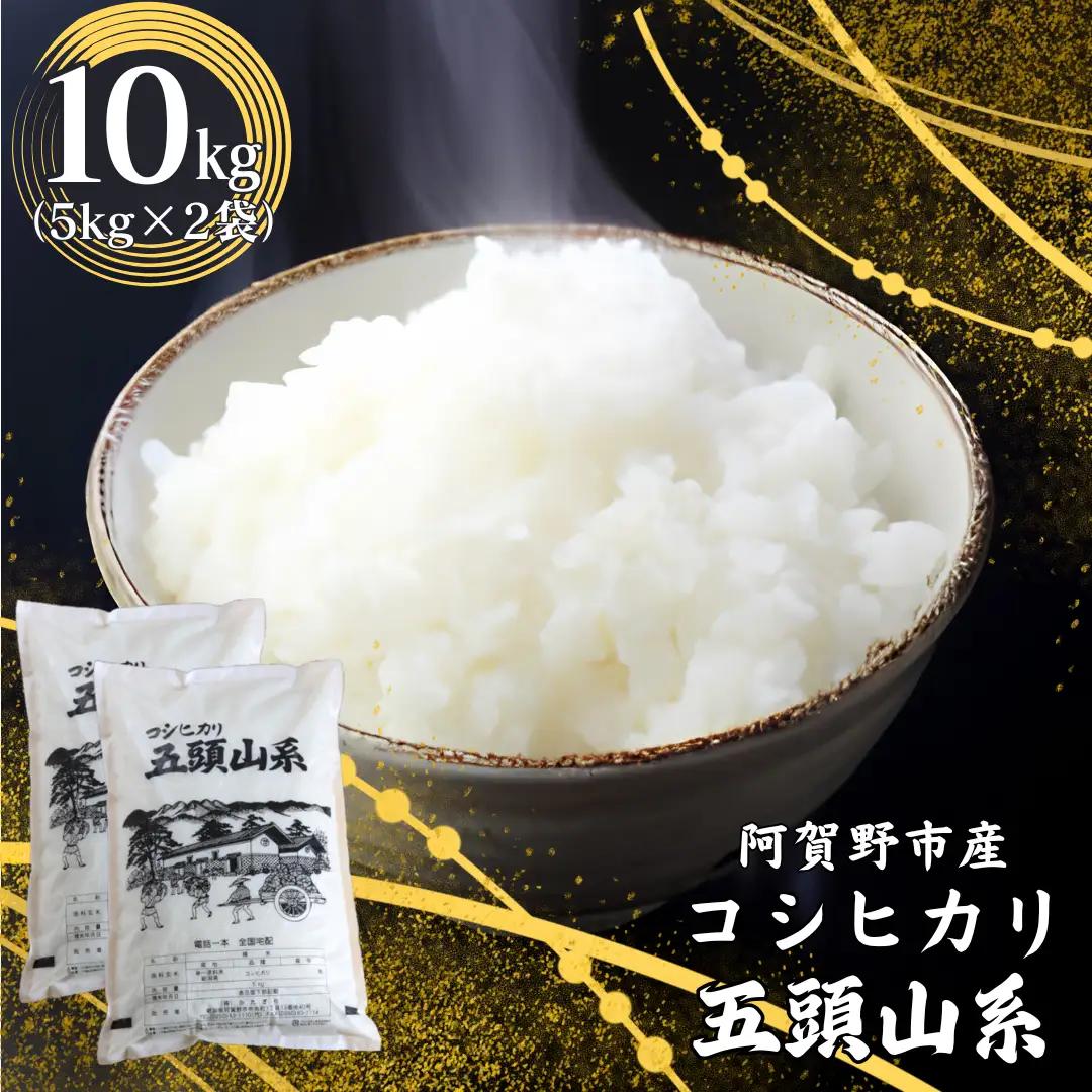【令和7年産】「米屋のこだわり阿賀野市産」コシヒカリ 10kg  新潟県 米 こめ コメ 白米 精米 1E02021