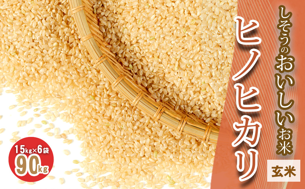 
I5【令和6年産　新米受付】しそうのおいしいお米　ヒノヒカリ玄米15㎏×6袋

