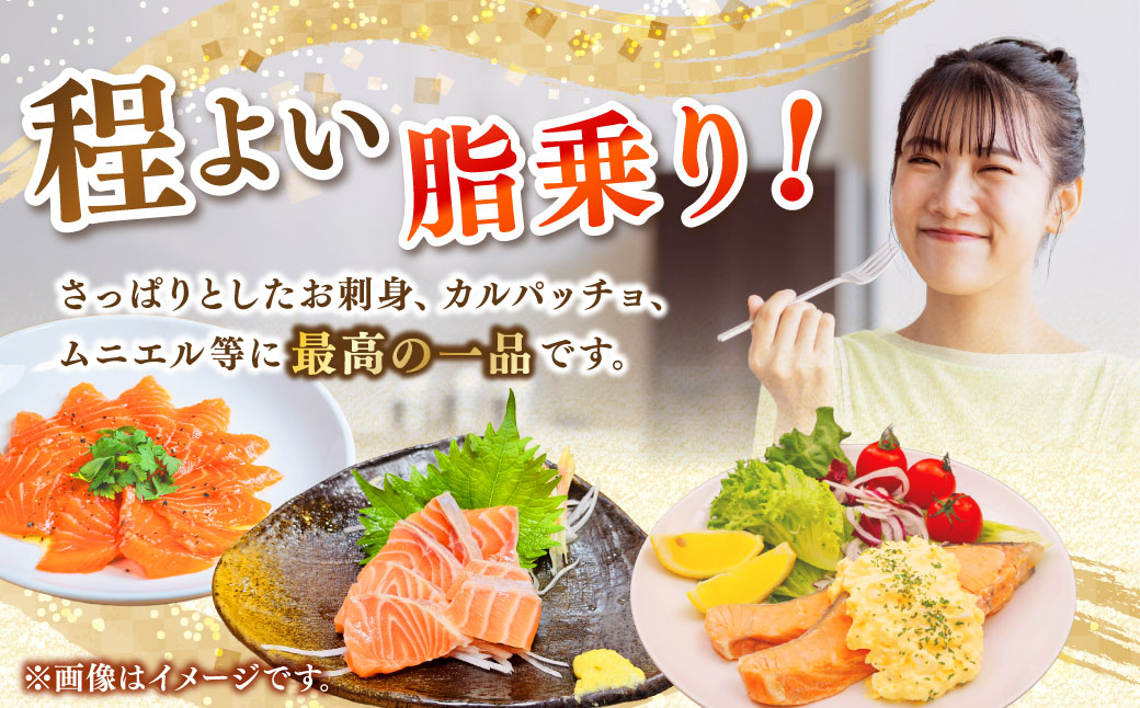 【釧路産】 くしろ 夕日 サーモン 約600g 北海道産 釧路 刺身 カルパッチョ ムニエル 鮭
