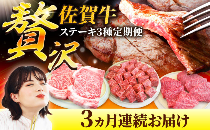 
                  【牧場直送】【3回定期便】佐賀牛 贅沢 ステーキ食べ尽くし【佐賀セントラル牧場】佐賀県産 牛肉 ステーキ サイコロステーキ サーロイン リブロース 赤身 霜降り 冷凍 九州 佐賀県 白石町  白石 [IAH080]
                