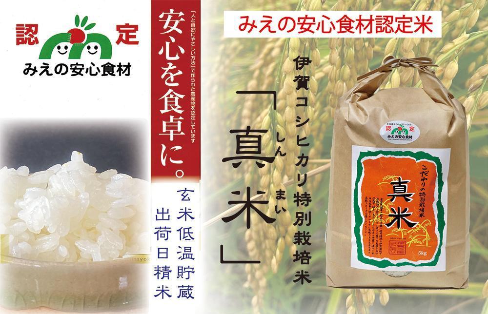 【令和7年産 新米予約】伊賀米コシヒカリ特別栽培米「真米」白米5kg 242161_AB005