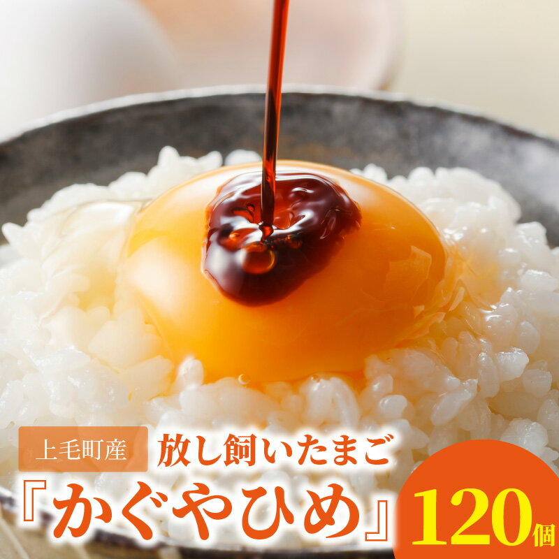 【ふるさと納税】高評価 たまご 120個 かぐやひめ 福岡 上毛町産 生卵 鶏卵 コク まろやか 旨み 国産 衛生 品質 管理 徹底 こだわり 放し飼い 九州産 卵かけご飯 オムライス オムレツ チャーハン 親子丼 ご飯のお供 お菓子づくり 食品 お取り寄せ 福岡県 上毛町 送料無料