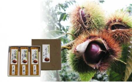 【ふるさと納税】＜夢甘栗ようかん３本（大納言小豆・夢甘栗２本／芋・夢甘栗１本）【計3本】＞高知県　佐川町　くり蔵　羊羹　和菓子　さつまいも【常温】