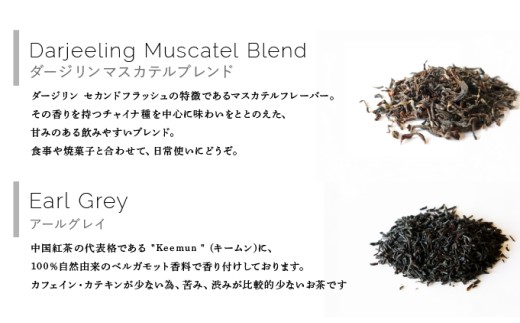 紅茶 ティーバッグ 8種セット【Uf-fu ウーフ】茶葉 人気 ダージリン マスカテルブレンド アールグレイ ショコラ アールグレイオハラ アンバー コルカタチャイ リュンヌ ノッテ ミルクティー ア