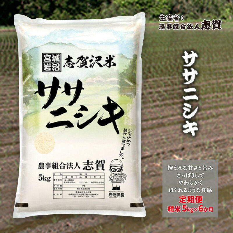 【ふるさと納税】【6ヶ月定期便】宮城県岩沼市産 志賀沢米 ササニシキ 精米5kg 　お届け：2025年10月中旬～2026年3月下旬