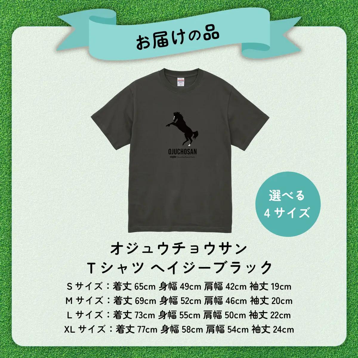 【オジュウチョウサン】Ｔシャツ _XLサイズ（ヘイジーブラック） BRTV004-4