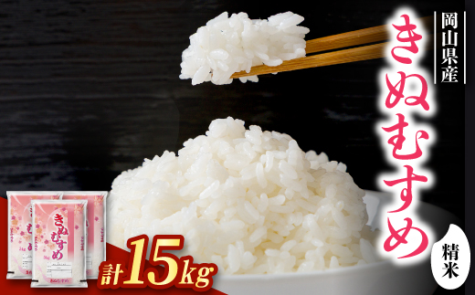 ＜食味鑑定士厳選＞岡山県産 きぬむすめ15kg(5kg×3袋)【1643920】