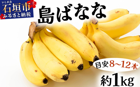 【先行予約 2026年5〜10月順次発送】バナナ好きに届けたい！！完全無農薬栽培 もっちり食感がやみつきの希少な国産『プレミアム島ばなな』贅沢に1房丸ごと約1kgお届け！！