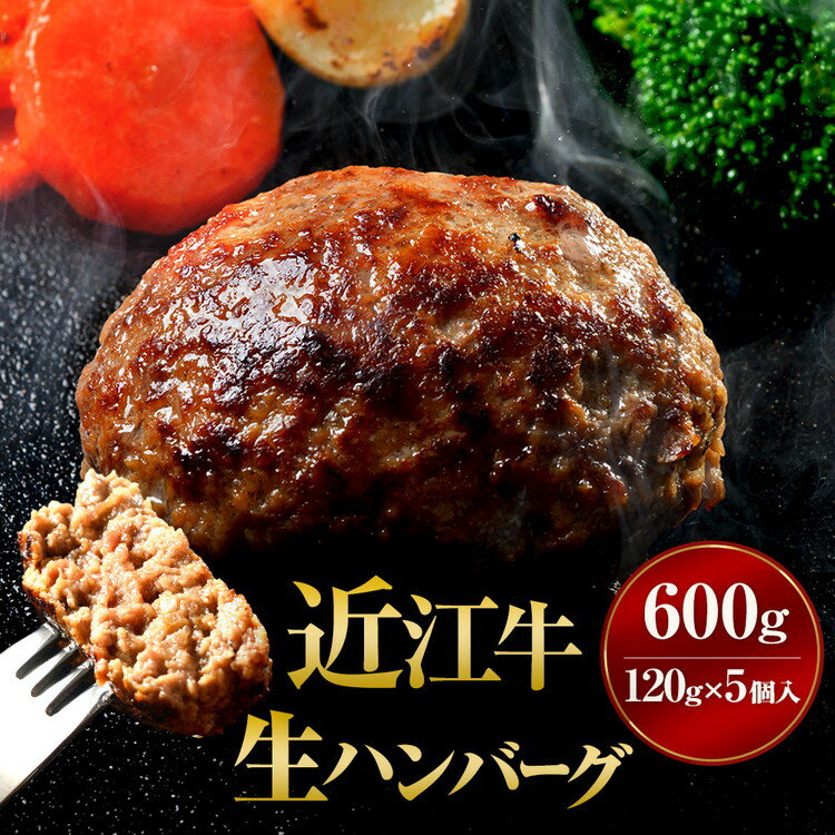 【ふるさと納税】近江牛 生ハンバーグ 120g×5個入