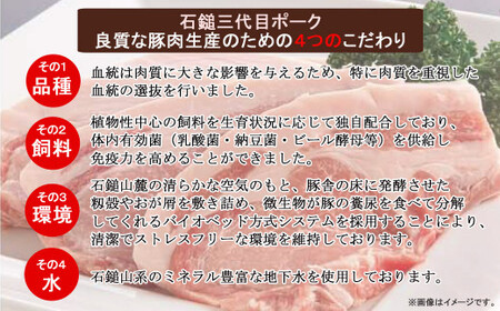 【先行予約】 豚肉 ハム 石鎚三代目ポーク焼肉用とロースハムセット ≪旬にお届け品≫【期間限定】【配送期間：12月から】