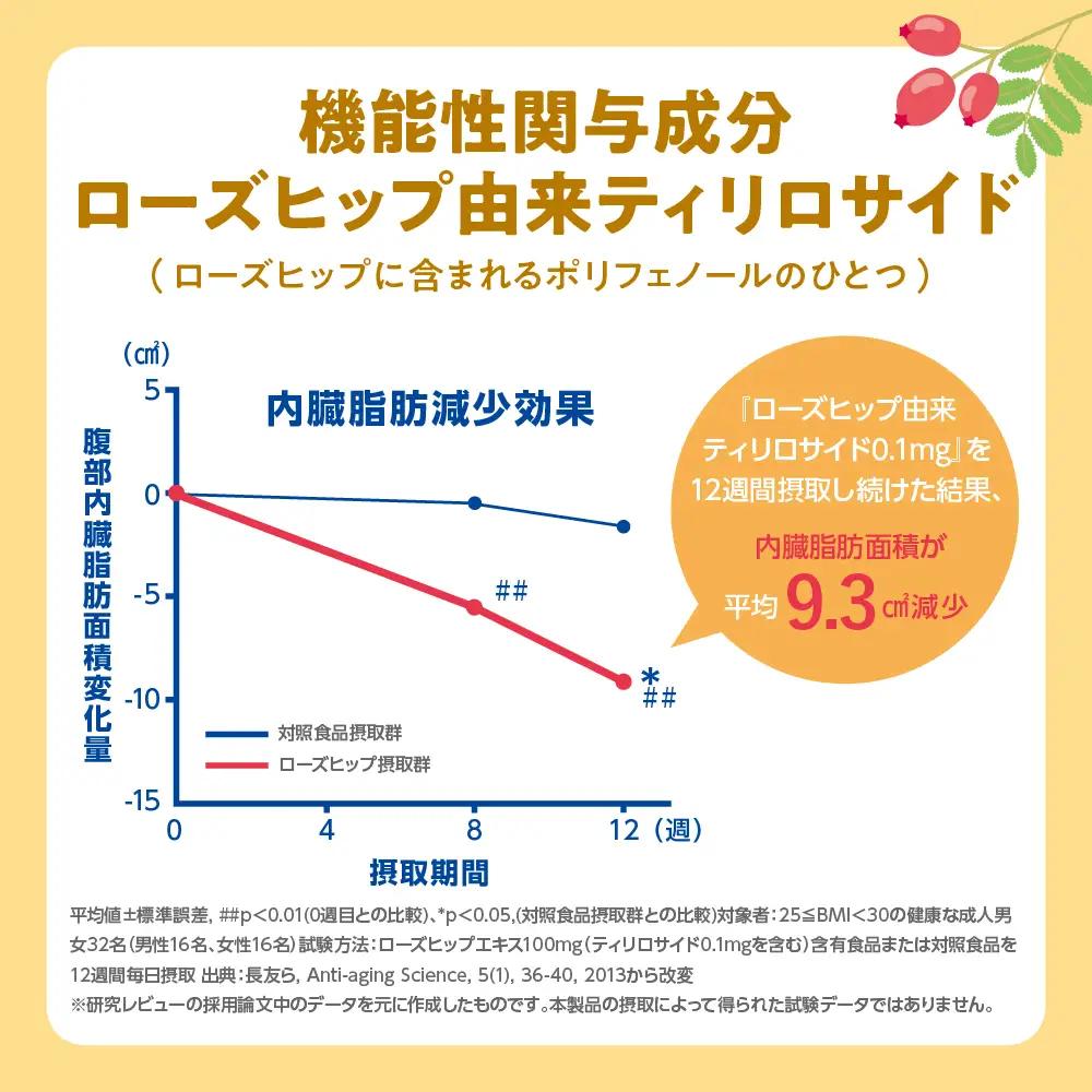 定期便２ヶ月|からだを想うオールフリー 500ml 計2箱定期便