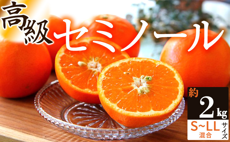 
                  ZS6157_主井農園 高級 セミノール 2kg サイズ混合
                