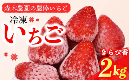 冷凍 いちご 苺 2kg以上 完熟 きらぴ香 ヘタ取り いちご  牧之原市 森木農園