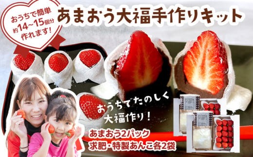 あまおう大福 手作りキット（2セット） 大福 和菓子 セット【2026年1月～4月にかけて順次出荷予定】餡子 あん お菓子 手作り 苺 いちご 大木町 池上農園 BD03