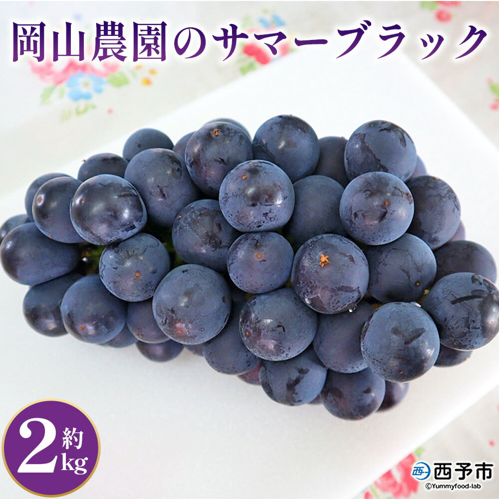 【ふるさと納税】＜サマーブラック 約2kg＞果物 くだもの フルーツ 葡萄 ブドウ 皮ごと食べられる 果実 青果 甘い あまい 贈り物 贈答 ギフト 岡山農園 愛媛県 西予市【冷蔵】『2026年7月下旬～8月中旬迄に順次出荷予定』