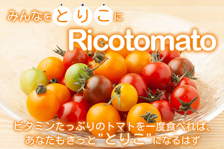 【先行予約】 カラフルミニトマト『Ricotomato』 【1kg×2回定期便】【2024年12月から出荷】 D-92