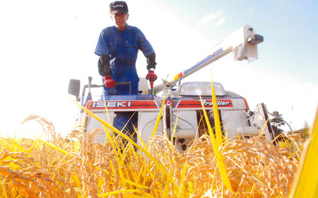 新潟県産コシヒカリ有機米（合鴨農法）5kg【北斗ファーマーズ】