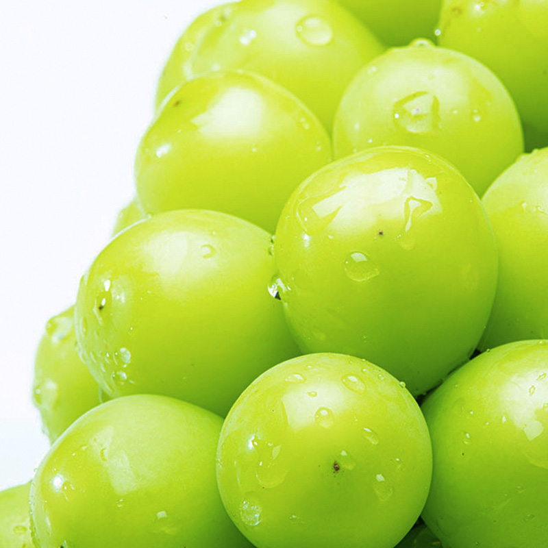 山形市産 大粒シャインマスカット 1kg以上 2房【令和8年産先行予約】FS24-763