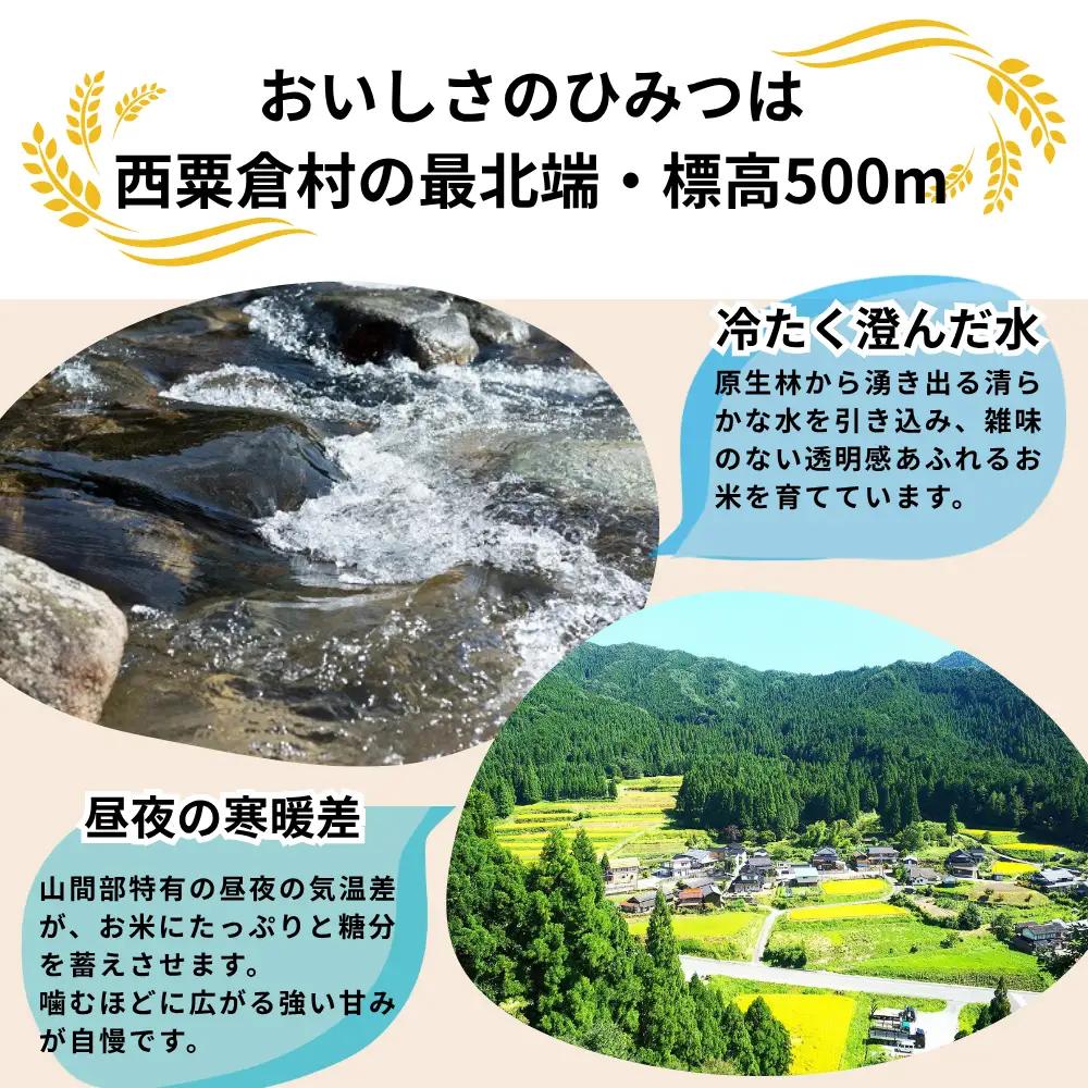 《先行予約 2026年10月発送》【3回定期便】白米 5kg 令和8年産 コシヒカリ 岡山 「おおがや 芝桜米」 G-af-BFCA