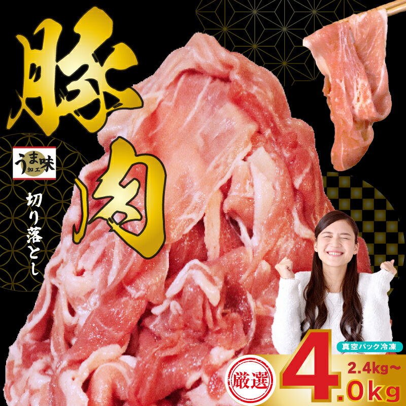 【ふるさと納税】 訳あり 豚肉 2.4kg ~ 4kg 冷凍 真空 小分け 400g ×6Por10P 大容量 国産 にく ブタ お肉 腕orモモ肉 スライス 切り落とし 便利 簡単調理 惣菜 ポーク カレー 生姜焼き 肉じゃが 豚汁 焼肉 BBQ 家族 人気 福岡県 川崎デリカ